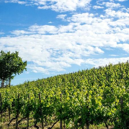代特尔巴赫Weingut Knauer公寓 外观 照片